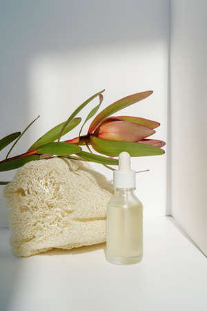Serum and natural loofah sponge on a light background.の写真素材
