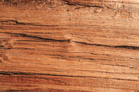 The texture of untreated old wood with cracks.の写真素材