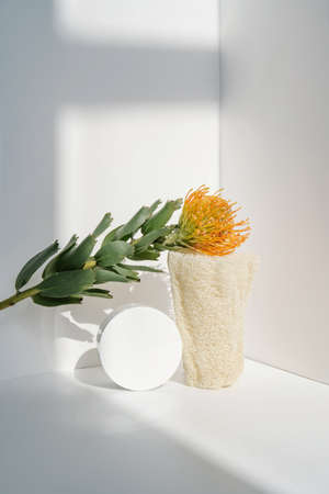 Cream and natural loofah sponge on a light background.の写真素材