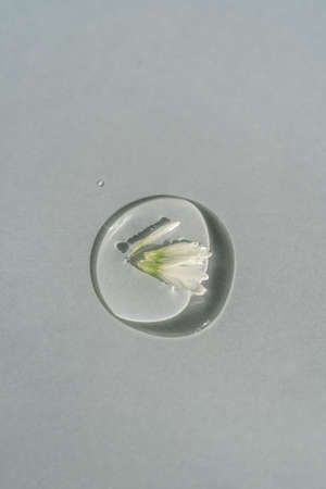 A drop of transparent cosmetic gel with chamomile on a blue background.の写真素材