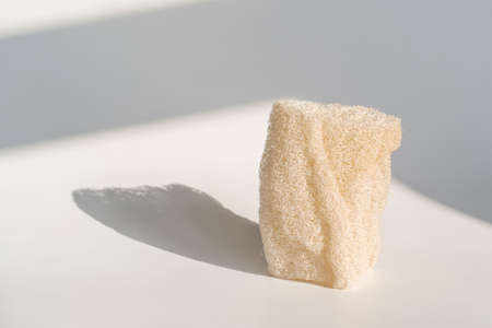 Loofah natural sponge on the white background.の写真素材