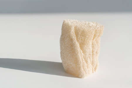 Loofah natural sponge on the white background.の写真素材