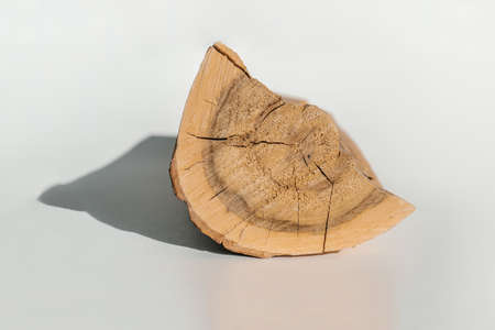 A cut of a part of a natural log on a white background.の写真素材
