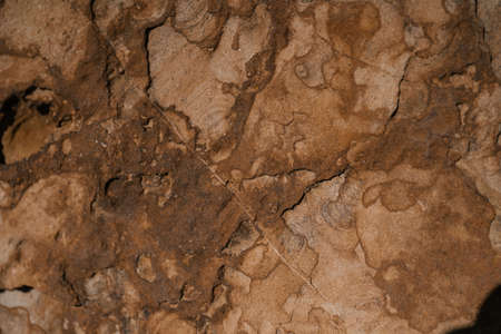 Background with the texture of natural stone.の写真素材