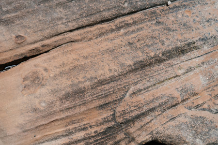 Background with the texture of natural stone.の写真素材