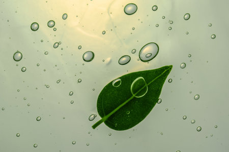 Green gel texture of a cosmetic care product.の写真素材