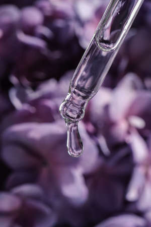A drop of cosmetic oil falls from the pipette on a purple floral background.の写真素材