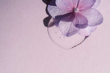 A drop of transparent cosmetic gel with flowers on a purple background.の写真素材