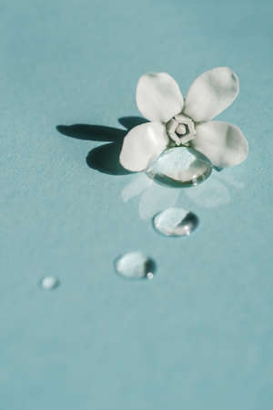 A drop of transparent cosmetic gel with flower on a blue background.の写真素材