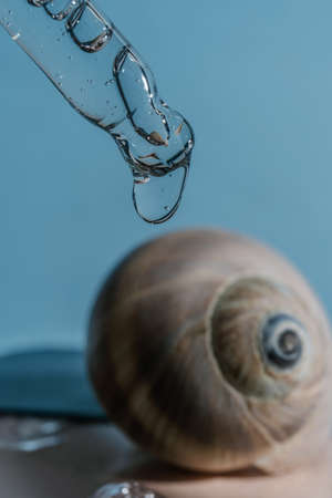 Pipette with transparent serum on the background of shells.の写真素材