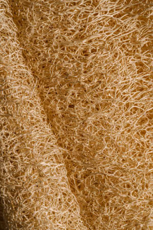 Texture of beige Loofah natural sponge close-up.の写真素材