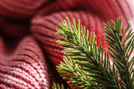 Spruce branch on the background of knitted texture.の写真素材