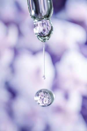 A drop of cosmetic oil falls from the pipette on a purple floral background.の写真素材