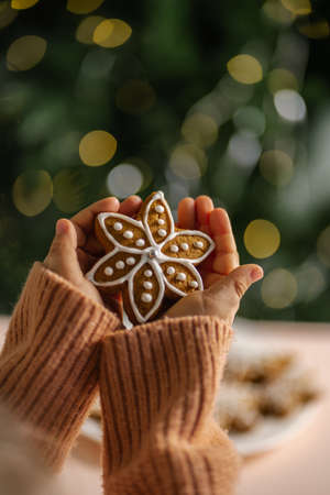 Ginger Christmas cookies in childrens hands on the background of the Christmas tree.の写真素材