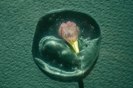 A drop of cosmetic gel with a flower on a green background.