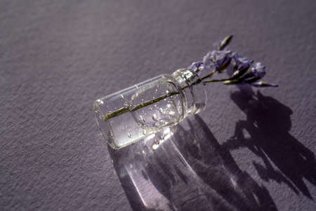 A drop of cosmetic gel with a flower on a pink background. A perfect pattern for your product.の写真素材