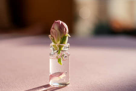 A bottle of cosmetic gel on a pink background.の写真素材