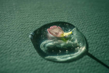 A drop of cosmetic gel with a flower on a green background.