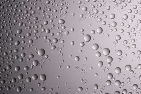 Drops of water on a transparent gray background.の写真素材