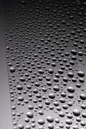 Drops of water on a transparent gray background.の写真素材