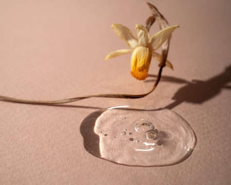 A dried narcissus flower above the serum.の写真素材