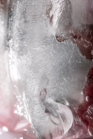 Transparent white ice with flowers frozen in it.の写真素材