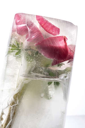 Transparent white ice with flowers frozen in it.