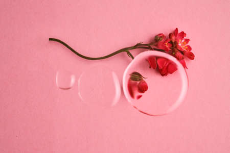 Three drops of cosmetic transparent gel on a pink background. The texture of the serum.の写真素材