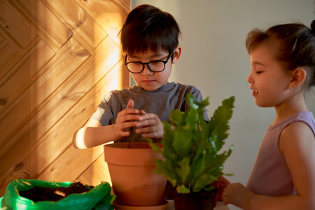 A boy and a girl are transplanting a home plant into a new pot.の写真素材