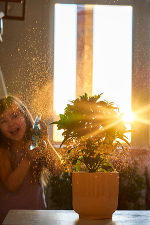 A girl sprays flowers from a spray bottle in the rays of the back morning spring sun.の写真素材