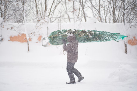 A man brought a Christmas tree into his yard during a snowstorm.の写真素材