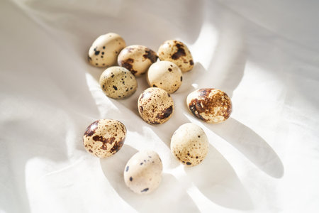 Quail eggs on a white linen towel close-up.の写真素材
