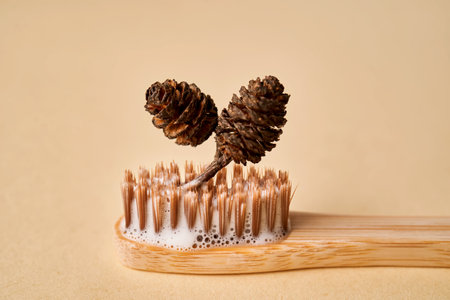 Toothbrush with toothpaste foam on a background of pine needles and cones.の写真素材