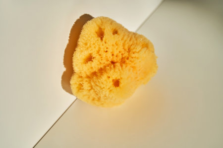 Natural sea sponge for face and body in the sun.の写真素材