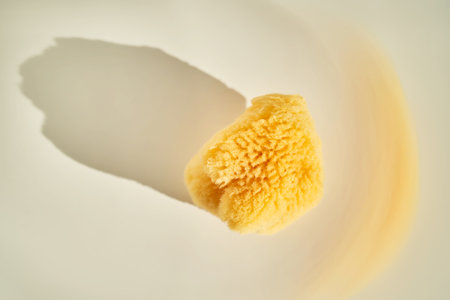 Natural sea sponge for face and body in the sun.の写真素材