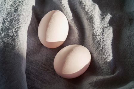 White chicken eggs on a blue apron close-up.の写真素材
