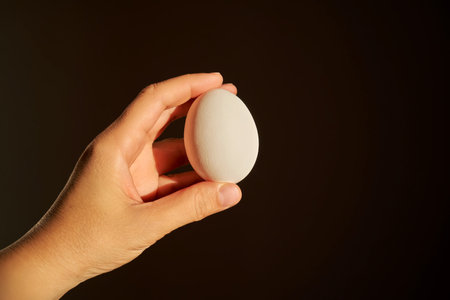 White chicken egg in a womans hand.