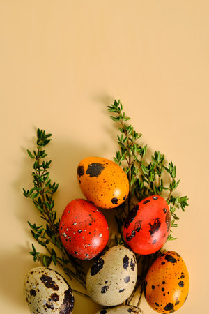 Easter composition of quail eggs and grass on a beige background.の写真素材