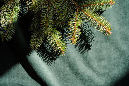 Abstract green velvet Christmas background with Christmas tree branches.