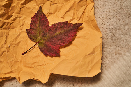 Cozy autumn background with autumn leaf on yellow paper.