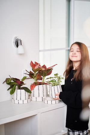 A girl admires indoor plants at home.の写真素材