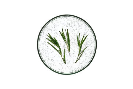 The texture of rosemary in a petri dish on a white isolated background.の写真素材