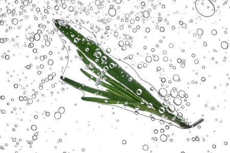 A sprig of rosemary in a cosmetic gel with lots of bubbles.の写真素材