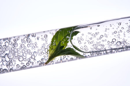 A test tube with the texture of serum or other cosmetics with mint and herbs.