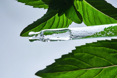 A pipette with serum in mint leaves.