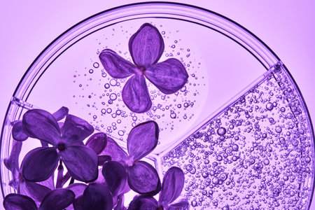 Three-piece petri dish with lilac flowers and whey texture.
