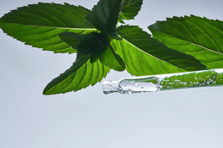 A pipette with serum in mint leaves.