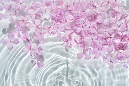 Abstract background with water and flowers. Space for the text.の写真素材