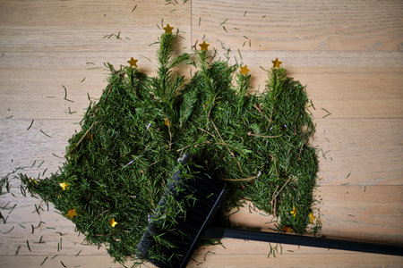 A broom that sweeps the needles from the Christmas tree.