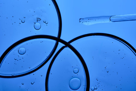 Gel with bubbles in three petri dishes on a blue background.の写真素材